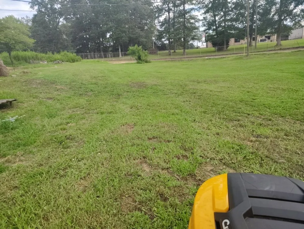 Expert outdoor landscaping in Quinton, AL - Shaw's Lawn Service and Handyman Services