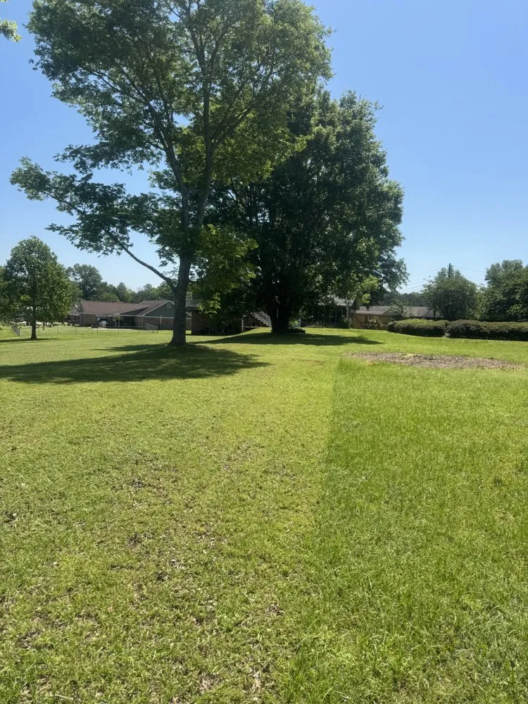 Reliable lawn mowing service for residential properties in Columbus, MS by Shaws Lawn Service