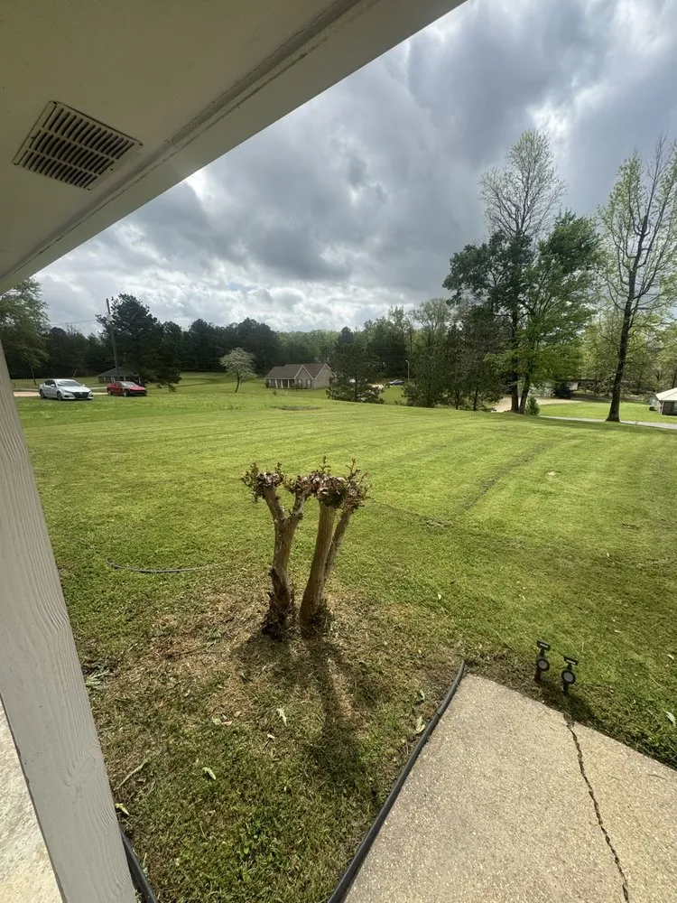 Custom outdoor landscaping for residential properties across Columbus, MS - Shaws Lawn Service