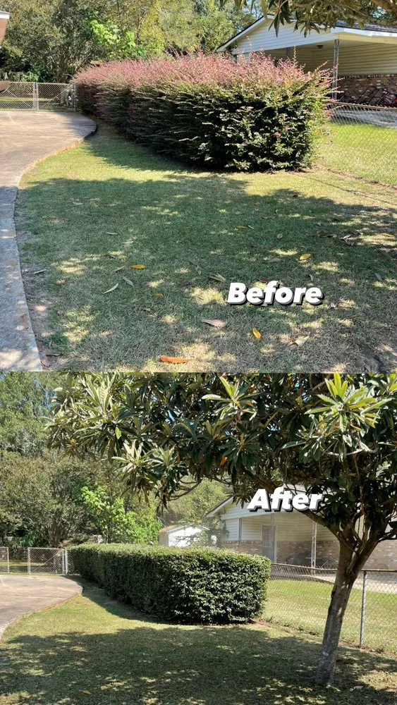 Trusted landscape installation for year-round maintenance across Bonaire, GA - Shawscapes Landscaping