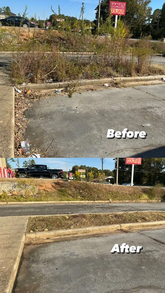 Expert yard cleanup service in Bonaire, GA - Shawscapes Landscaping