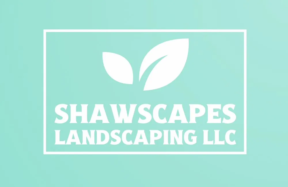 Professional yard cleanup service with custom design across Bonaire, GA - Shawscapes Landscaping