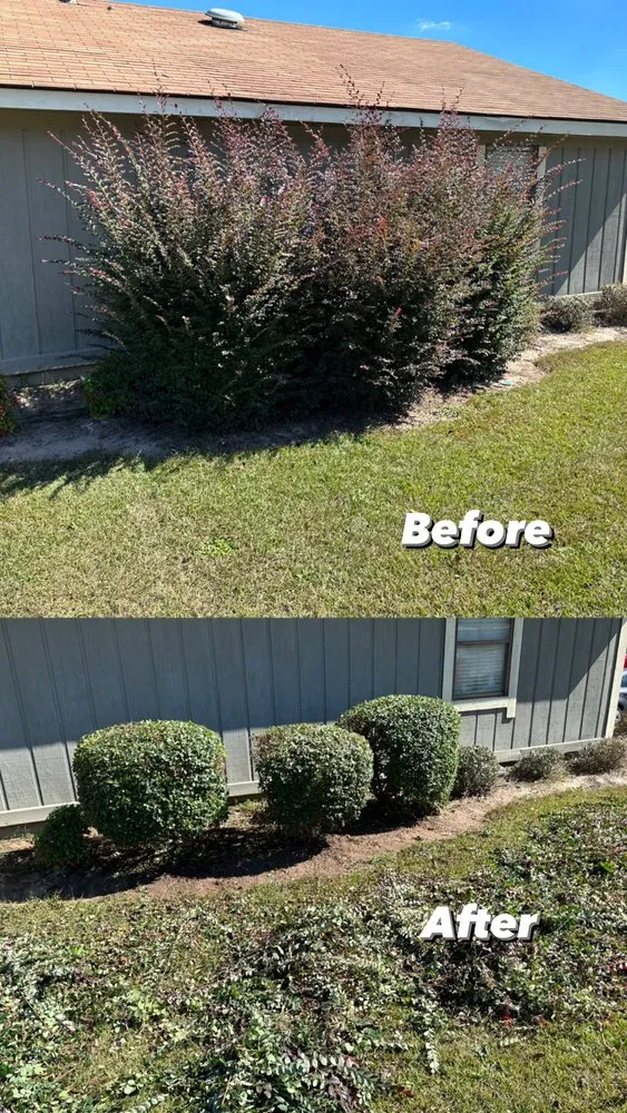 Affordable residential landscaping for residential properties across Bonaire, GA - Shawscapes Landscaping
