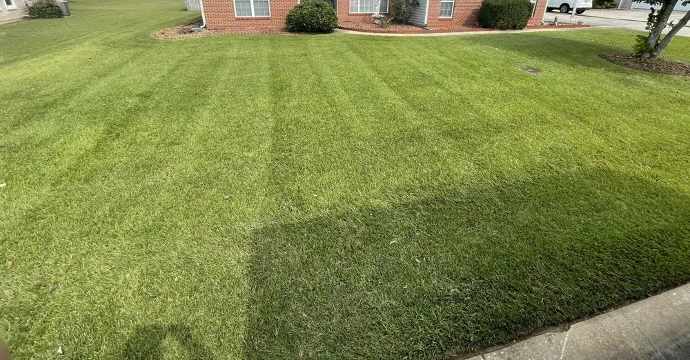 Reliable yard cleanup service for residential properties in Bonaire, GA by Shawscapes Landscaping