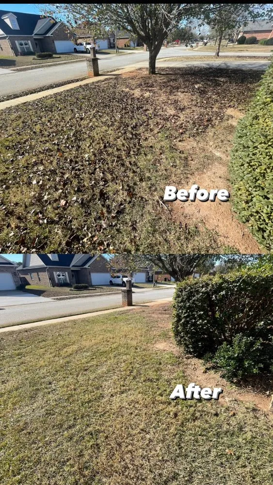 Reliable lawn mowing service experts serving Bonaire, GA - Shawscapes Landscaping