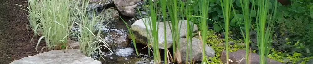 Top-rated landscaping services in Williamsport, PA by Shaylor's Ponds & Patios