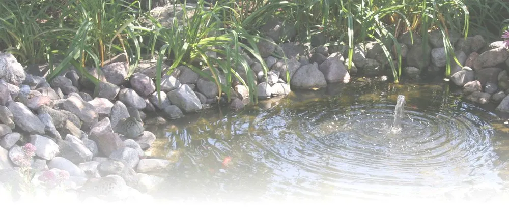 Custom landscape design experts serving Williamsport, PA - Shaylor's Ponds & Patios