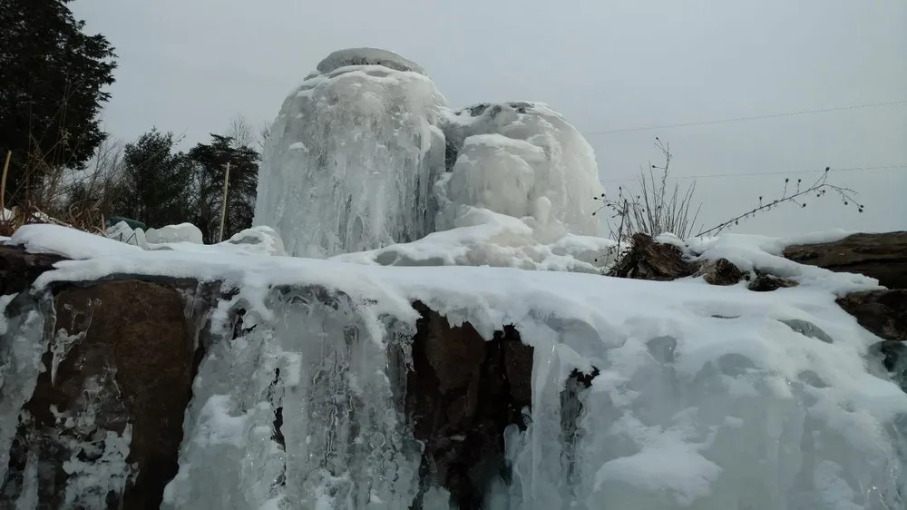 Custom yard maintenance in Williamsport, PA - Shaylor's Ponds & Patios