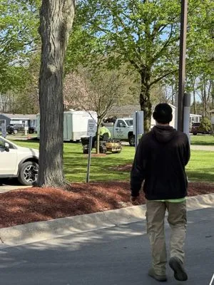 Shay's Greenview Lawn Care