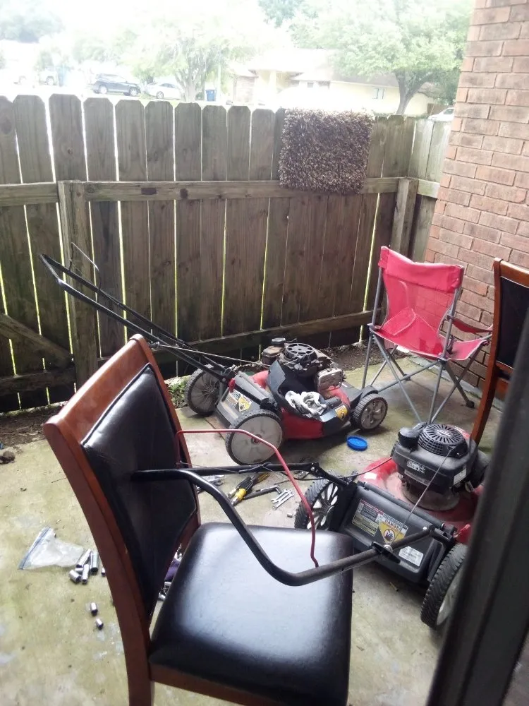 Expert lawn care service in Austin, TX - Shay's Home Cleaning/Handyman Services & More