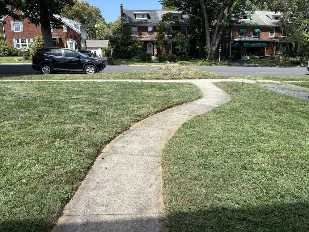 Professional yard cleanup service experts serving Landisville, PA - She Bleeds Green