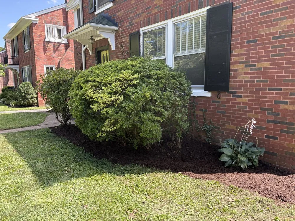 Expert outdoor landscaping for year-round maintenance across Landisville, PA - She Bleeds Green