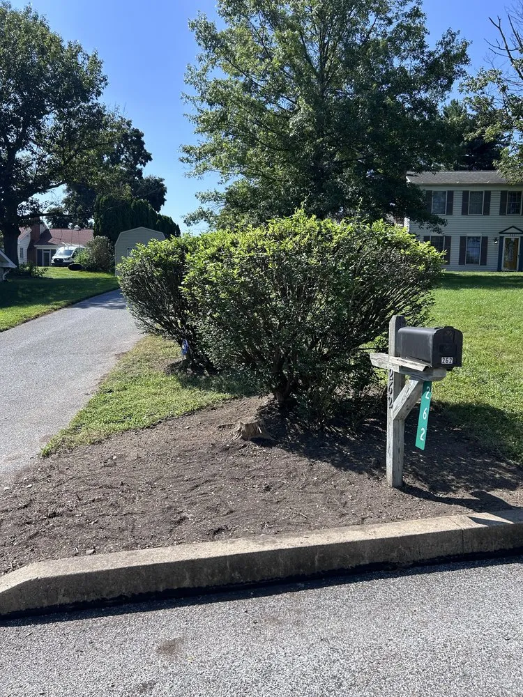 Trusted landscaping services in Landisville, PA by She Bleeds Green
