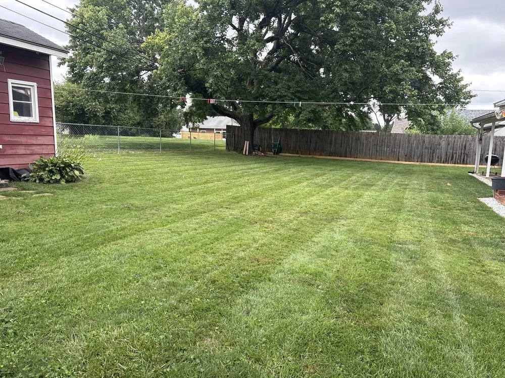 Affordable yard maintenance in Landisville, PA - She Bleeds Green