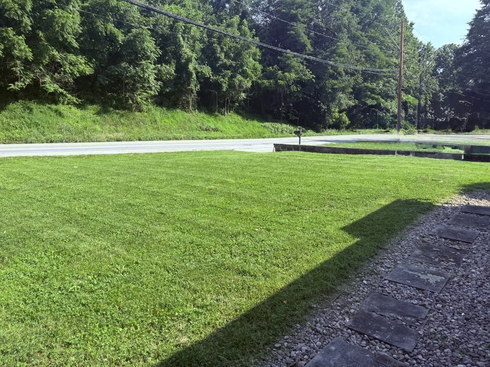 Affordable residential landscaping experts serving Landisville, PA - She Bleeds Green