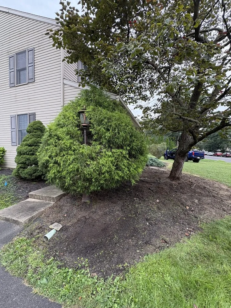 Professional landscaping services for year-round maintenance in Landisville, PA by She Bleeds Green