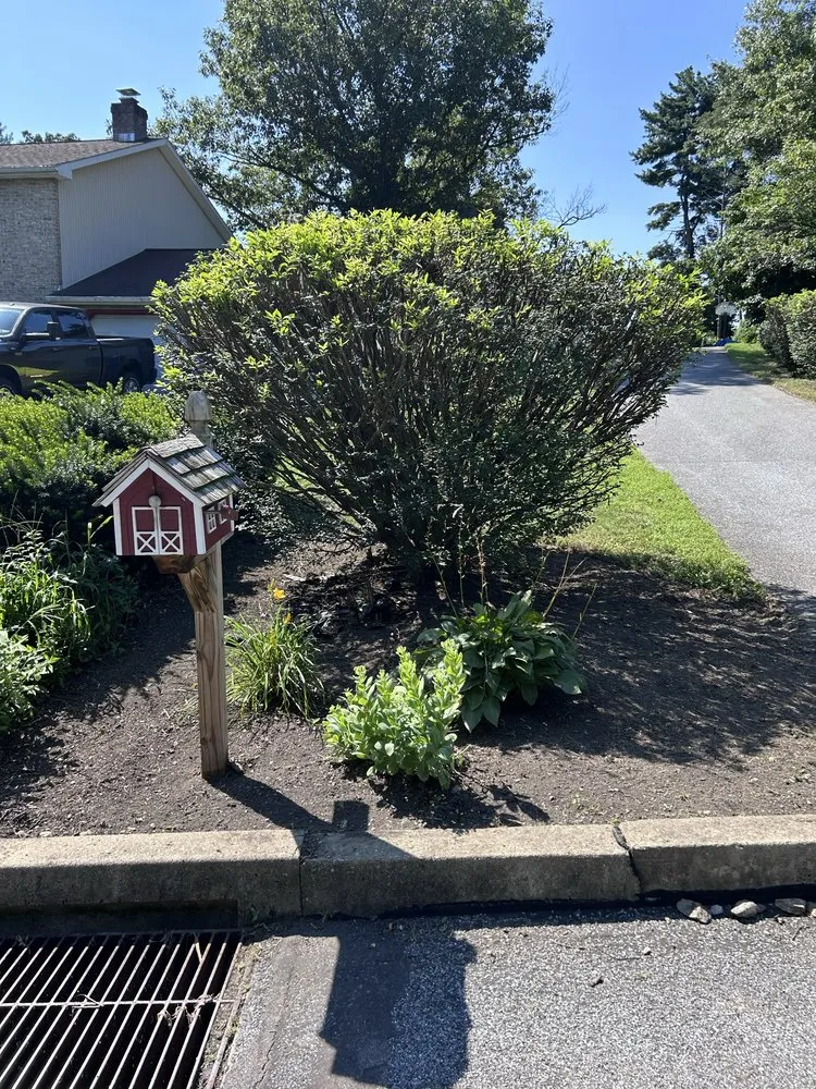 Top-rated yard cleanup service in Landisville, PA - She Bleeds Green