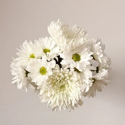 Local garden landscaping near you in Montgomery, NY by She Daisy Landscaping