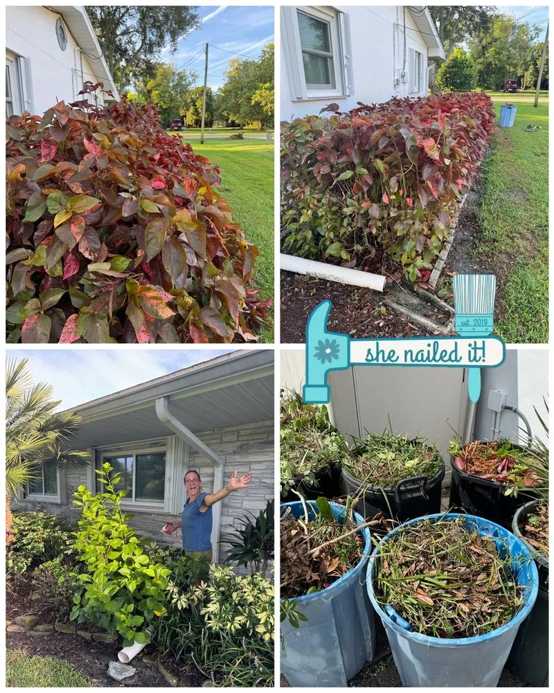 Trusted landscaping services for homes across Melbourne, FL - She Nailed It Home Repair