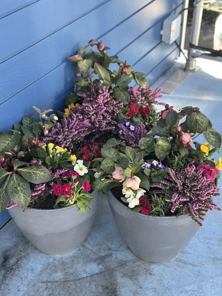 Custom lawn care service in Bothell, WA - She Plants Sanctuary