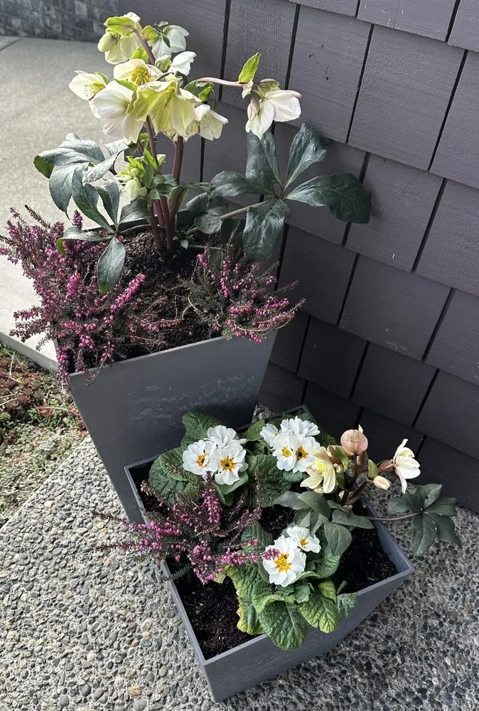 Affordable lawn care service in Bothell, WA by She Plants Sanctuary