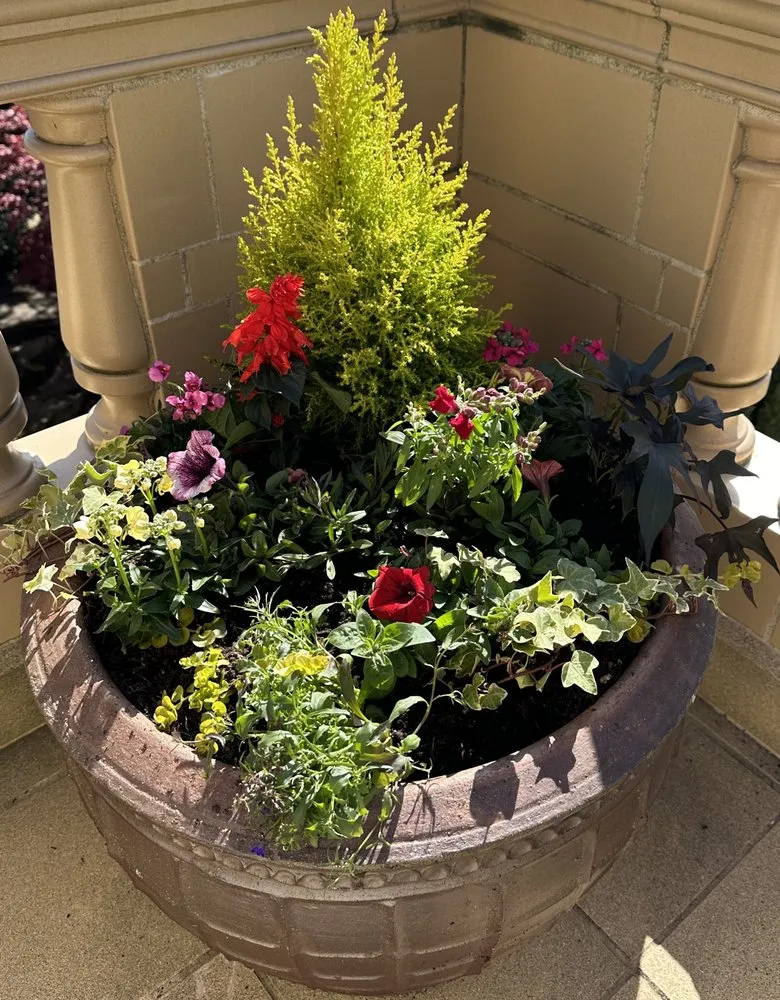 Reliable garden landscaping experts serving Bothell, WA - She Plants Sanctuary