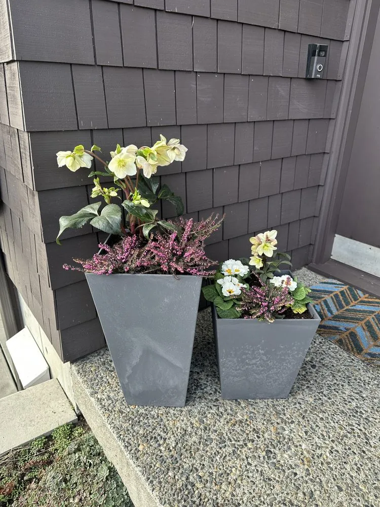 Custom yard cleanup service in Bothell, WA by She Plants Sanctuary