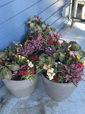 She Plants Sanctuary Logo