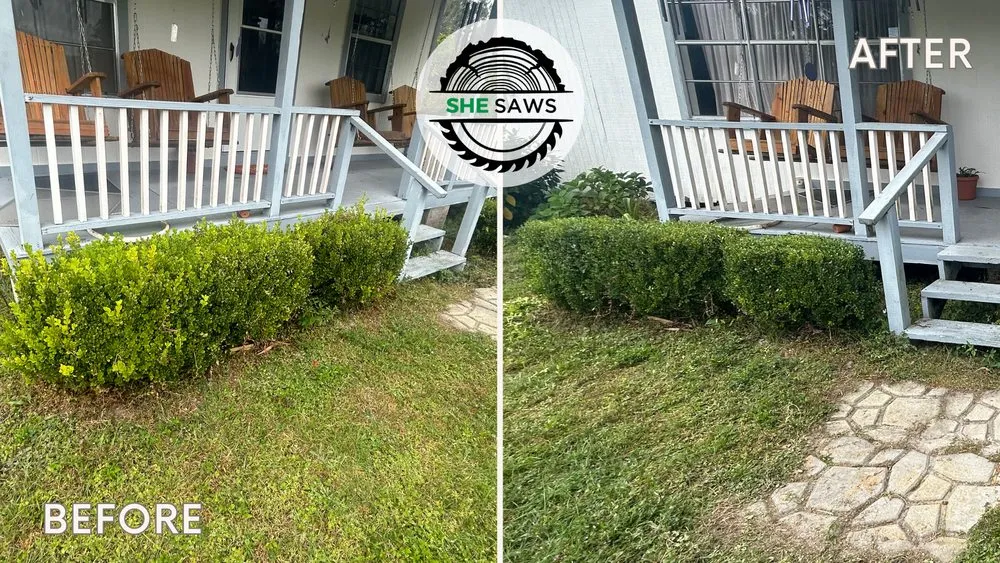 Top-rated residential landscaping experts serving St. Petersburg, FL - She Saws