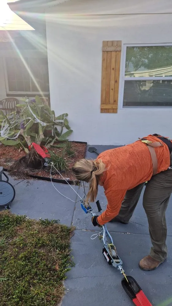 Top-rated landscape design in St. Petersburg, FL by She Saws