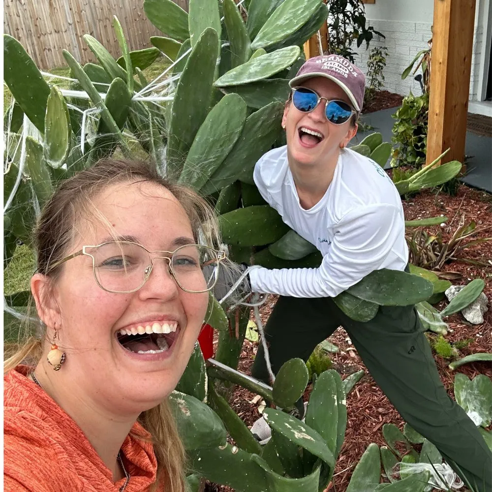 Reliable garden landscaping for year-round maintenance across St. Petersburg, FL - She Saws