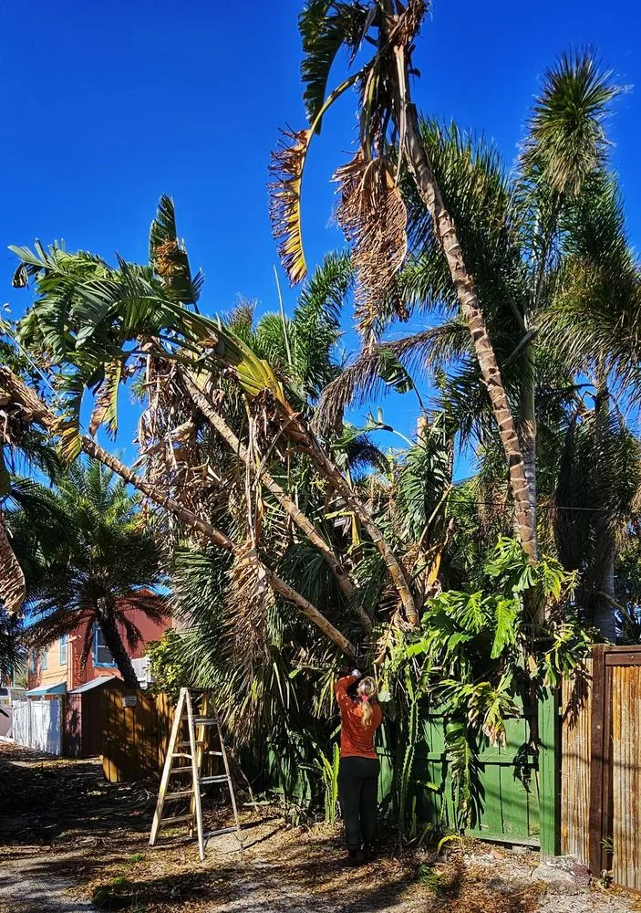Local yard maintenance in St. Petersburg, FL by She Saws