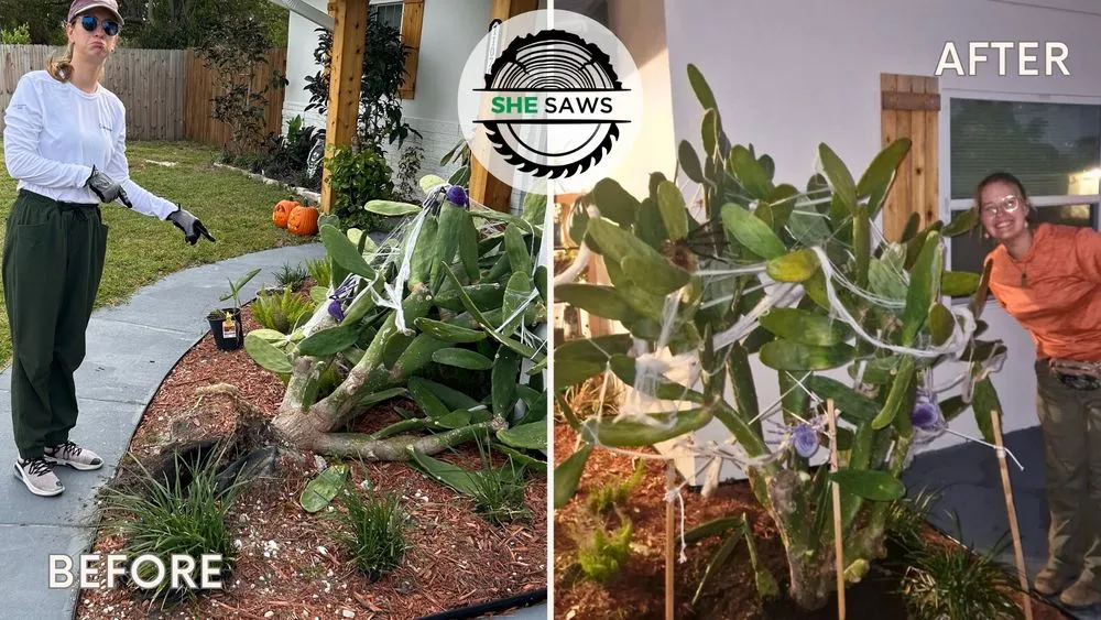 Expert yard cleanup service near you across St. Petersburg, FL - She Saws