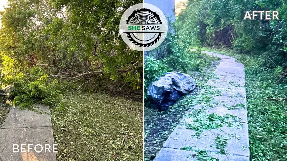 Top-rated lawn care service in St. Petersburg, FL - She Saws