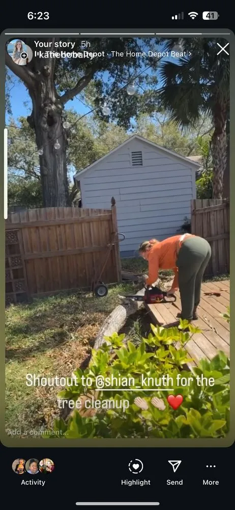 Expert landscape design for beautiful yards in St. Petersburg, FL by She Saws