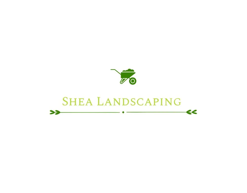 Reliable yard cleanup service experts serving White Lake, MI - Shea Landscaping