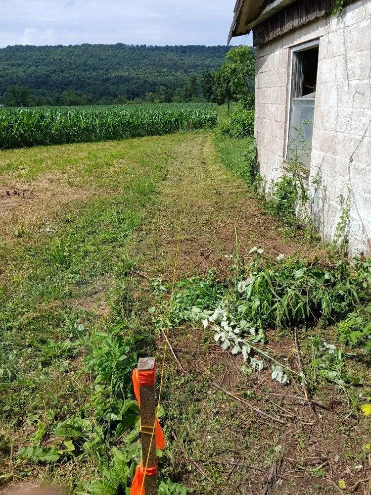 Expert yard maintenance experts serving Millersburg, PA - Sheaffers Lawn Care