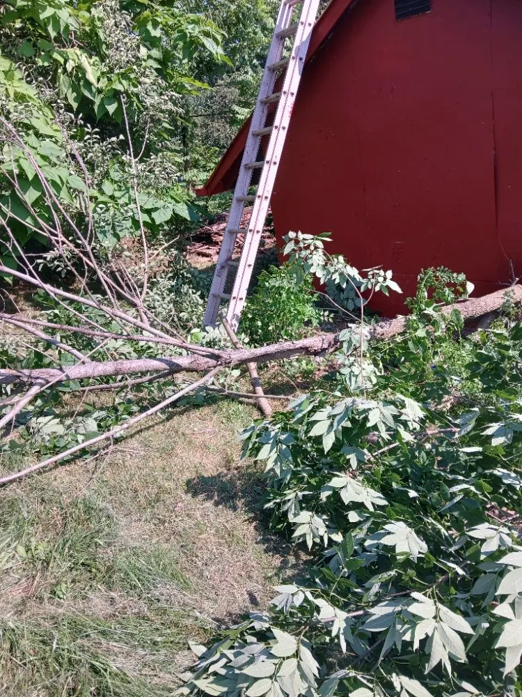 Top-rated landscape installation in Millersburg, PA by Sheaffers Lawn Care