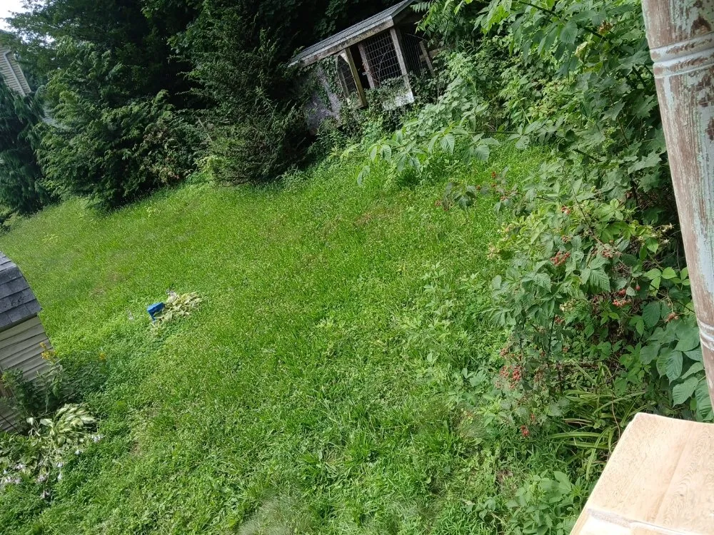 Professional landscaping services with custom design across Millersburg, PA - Sheaffers Lawn Care