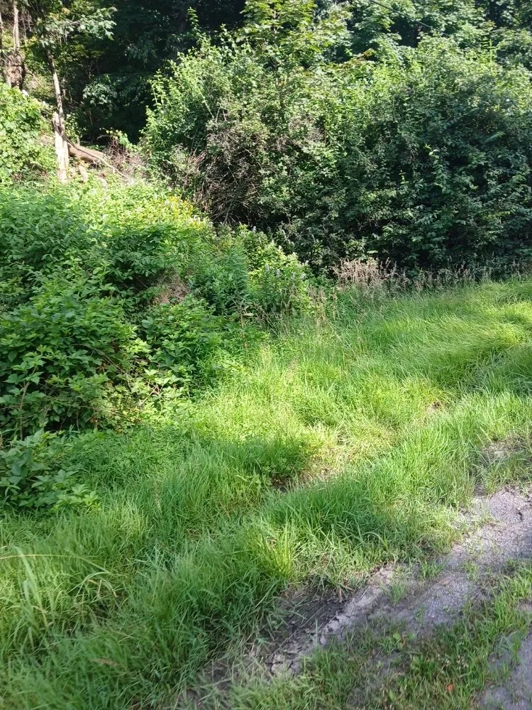 Top-rated outdoor landscaping near you across Millersburg, PA - Sheaffers Lawn Care