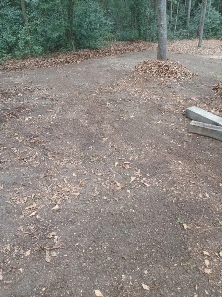 Expert garden landscaping in Batesburg-Leesville, SC - Shealys Lawn Care & More