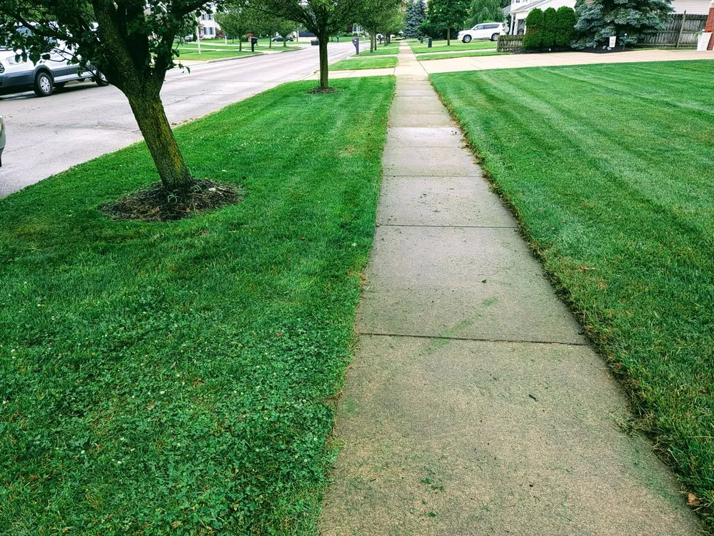Professional yard cleanup service for year-round maintenance across West Seneca, NY - Shealy's Lawn Care