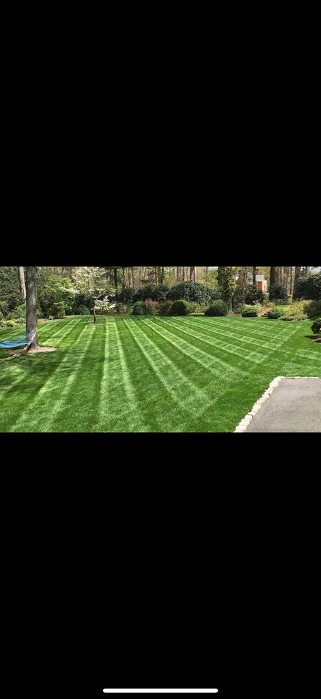 Custom garden landscaping experts serving West Seneca, NY - Shealy's Lawn Care