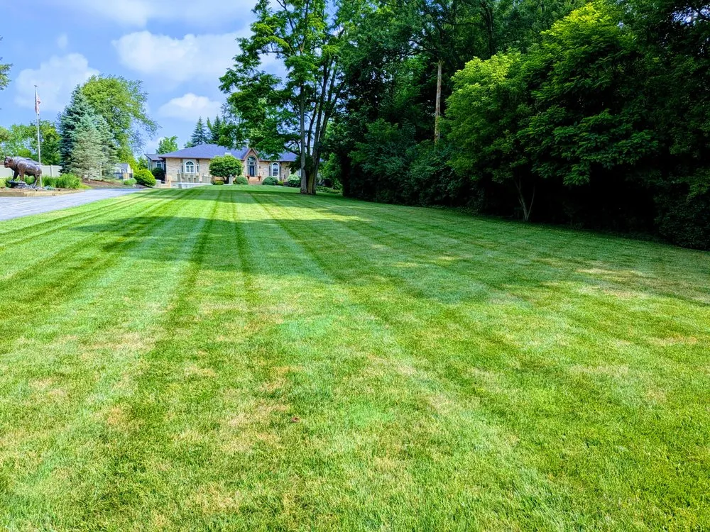 Reliable yard maintenance in West Seneca, NY by Shealy's Lawn Care