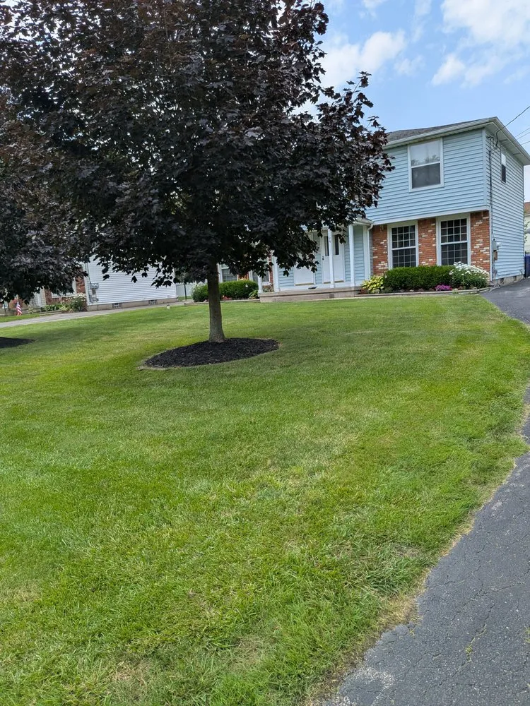Trusted residential landscaping for residential properties in West Seneca, NY by Shealy's Lawn Care