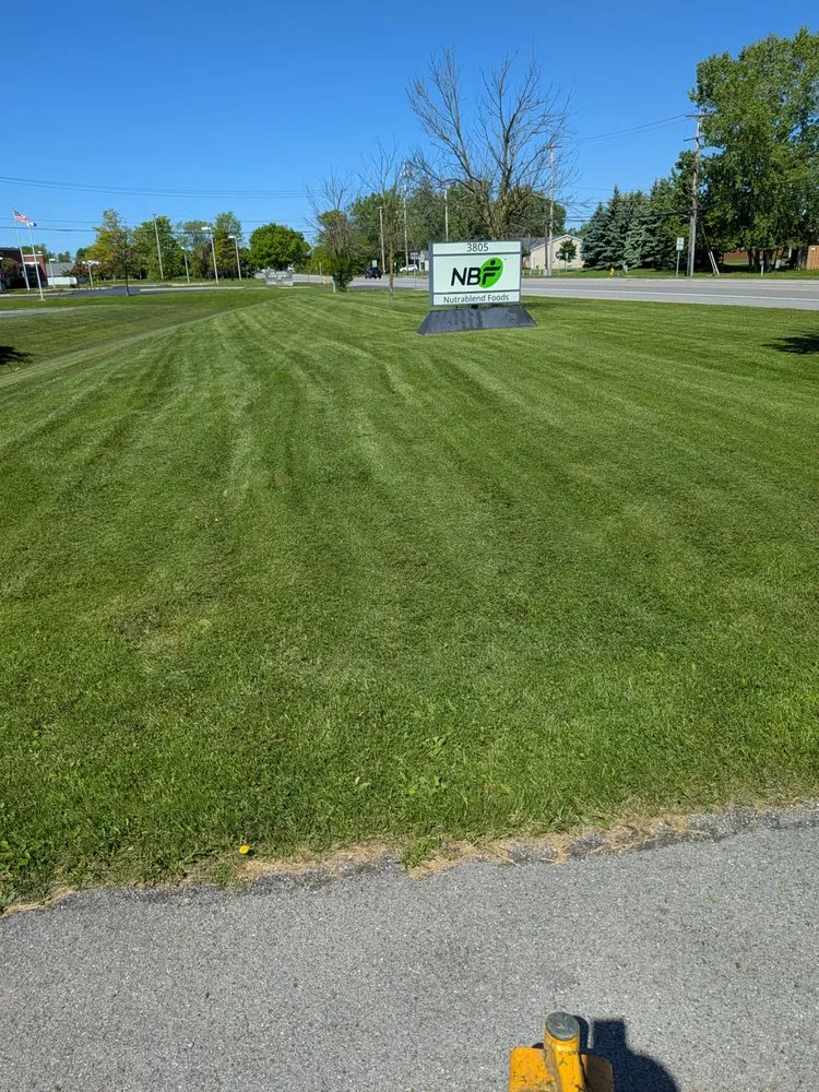 Custom landscape installation in West Seneca, NY by Shealy's Lawn Care