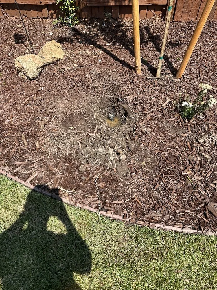 Local landscape design in Roseville, CA - Shear Perfection Landscape & Maintenance Company