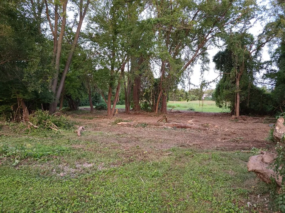 Affordable yard cleanup service in Ferguson, MO - Shear Performance Earthworks