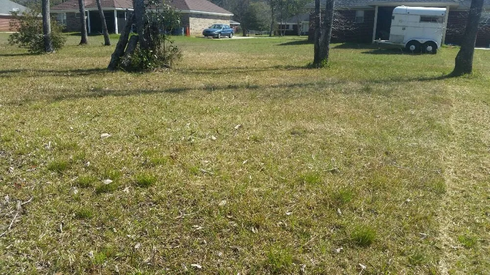 Local landscape installation in Saraland, AL by Shear Pressure