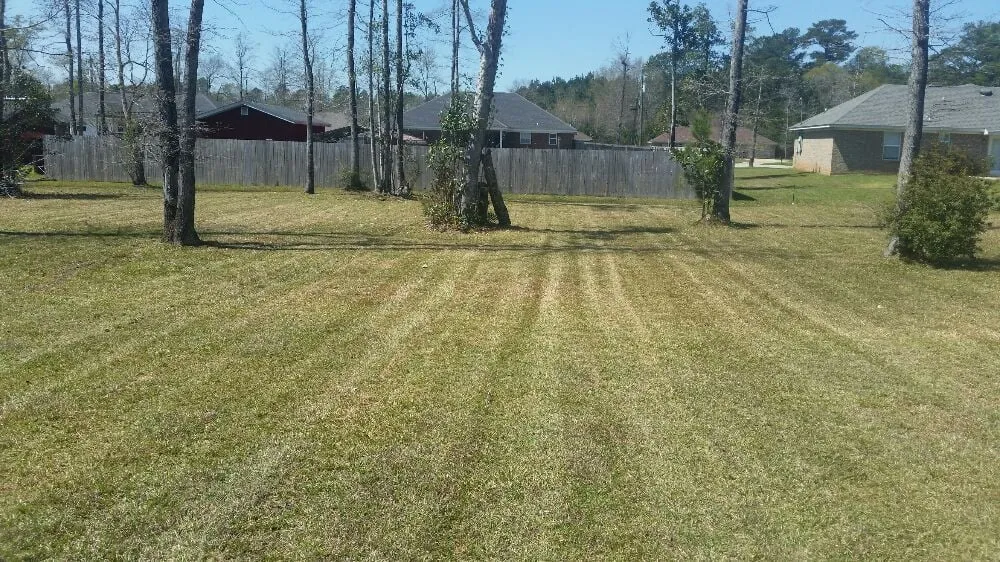 Trusted landscaping services experts serving Saraland, AL - Shear Pressure